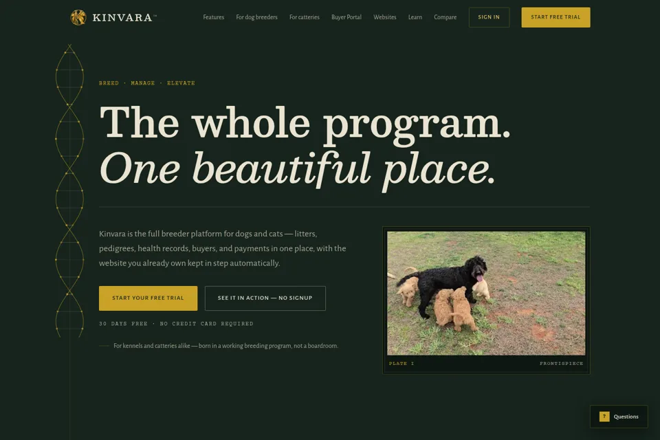 Aperçu de la landing page