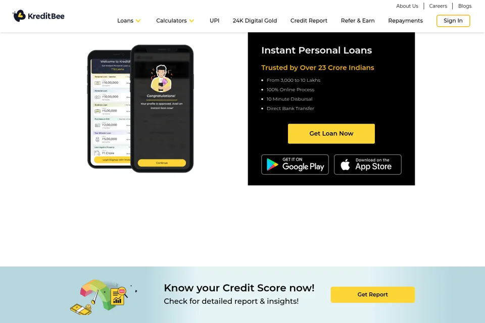 Aperçu de la landing page
