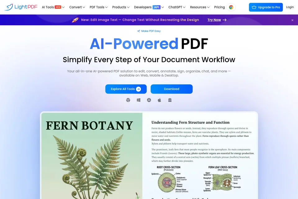 Aperçu de la landing page