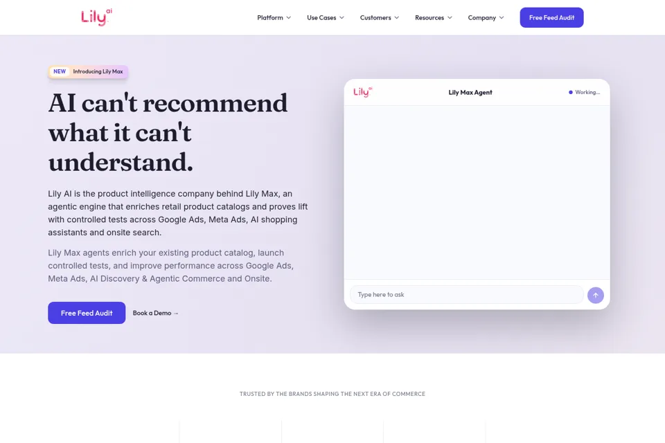 Aperçu de la landing page