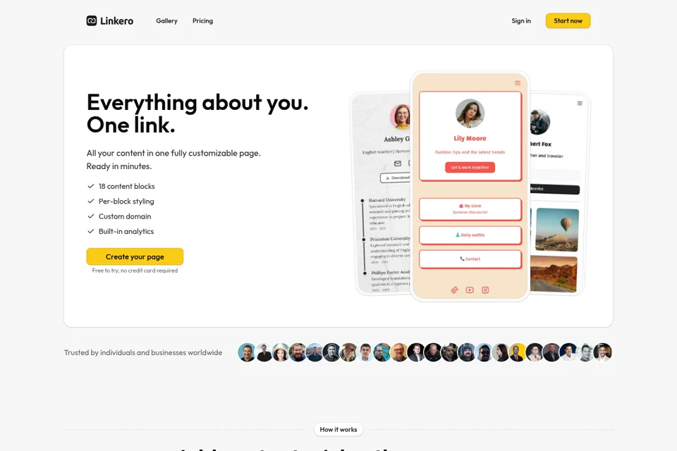 Aperçu de la landing page