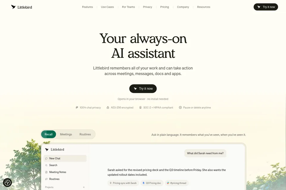 Aperçu de la landing page