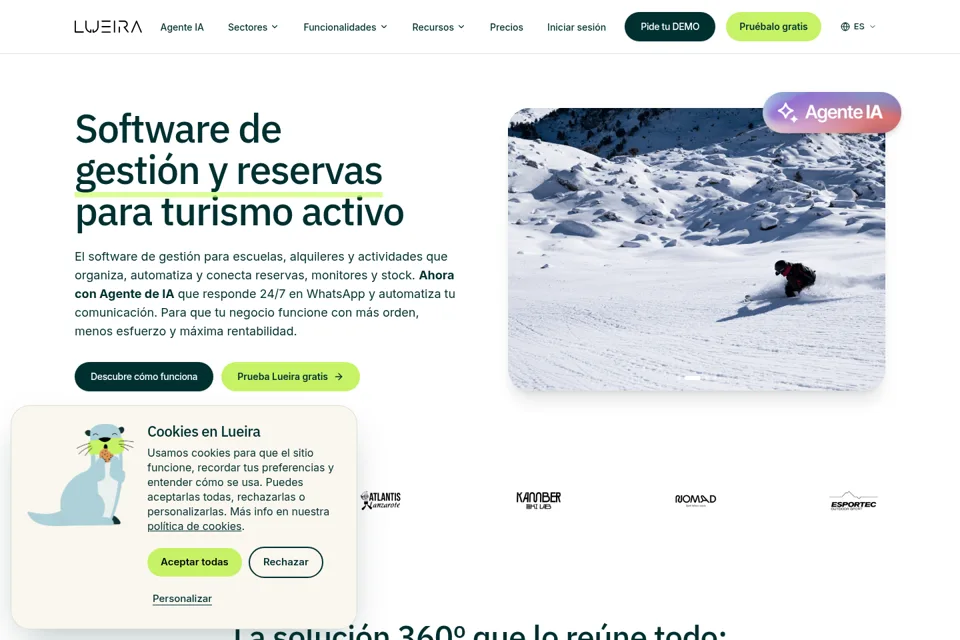 Landing page preview