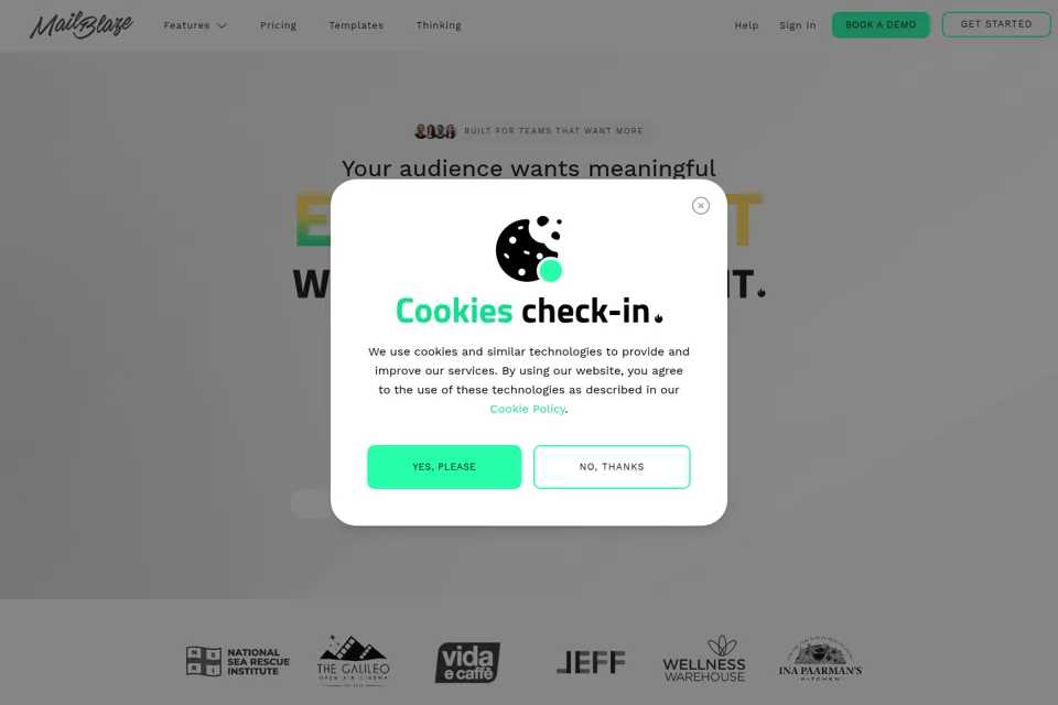 Aperçu de la landing page