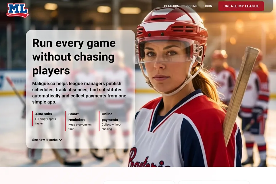 Aperçu de la landing page