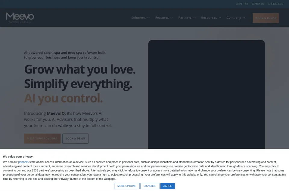 Landing page preview