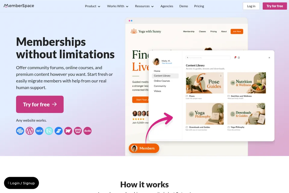 Aperçu de la landing page