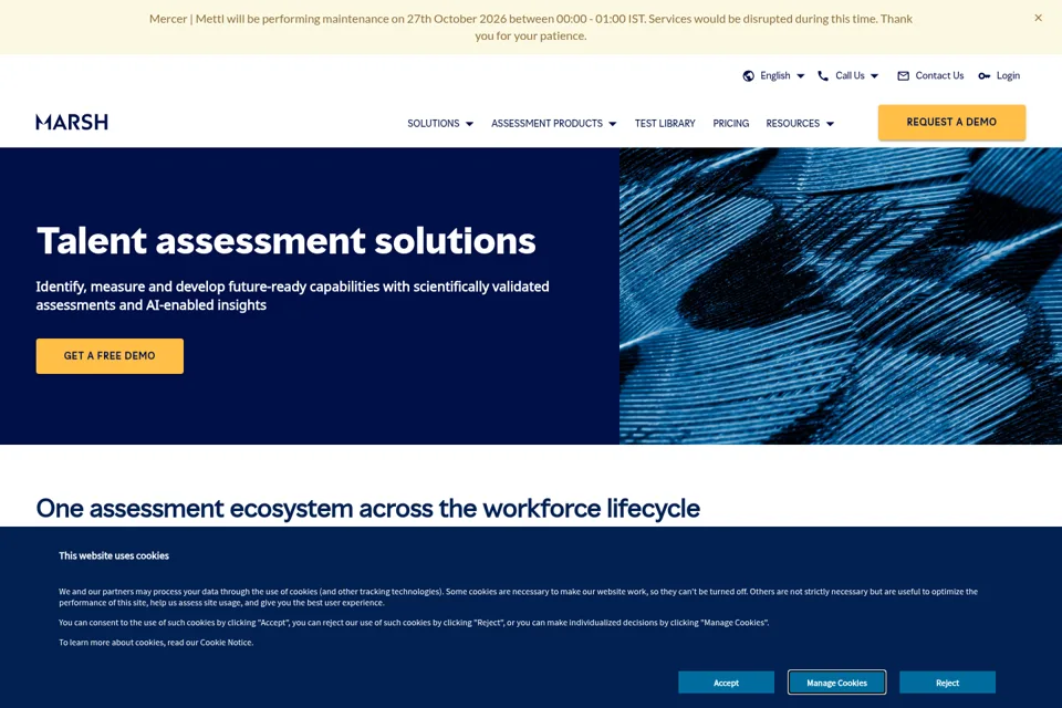 Aperçu de la landing page