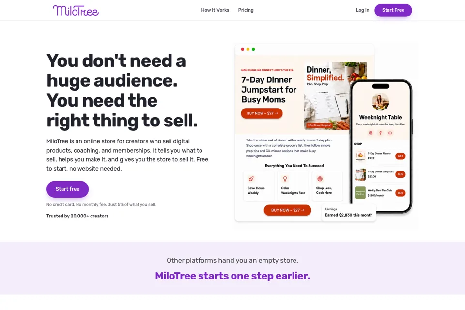 Aperçu de la landing page
