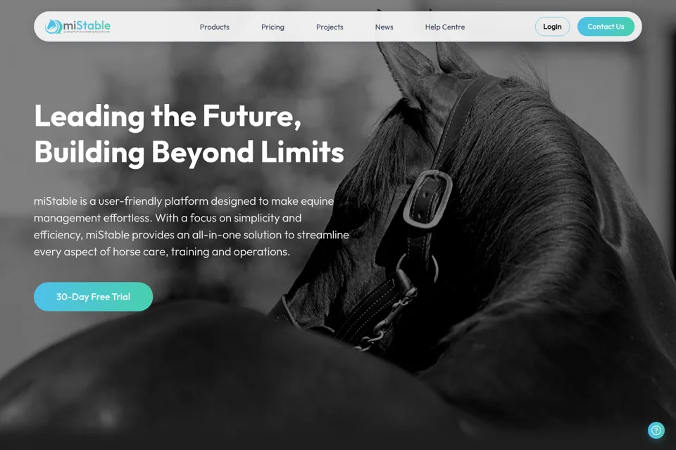 Landing page preview