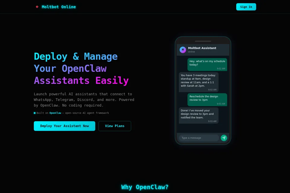 Aperçu de la landing page