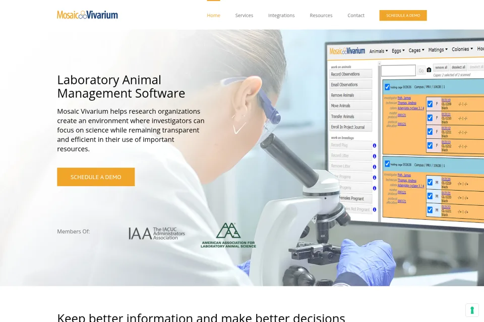 Landing page preview