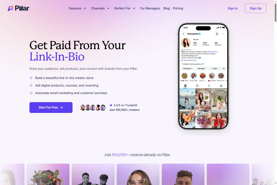 Landing page preview