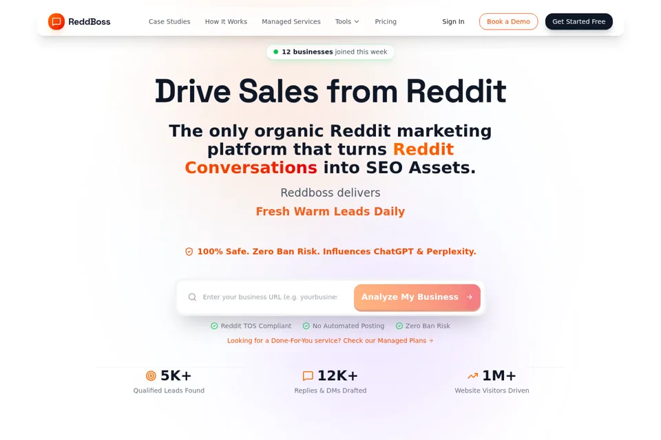 Aperçu de la landing page