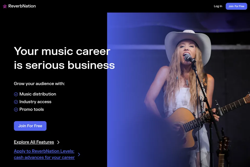 Landing page preview