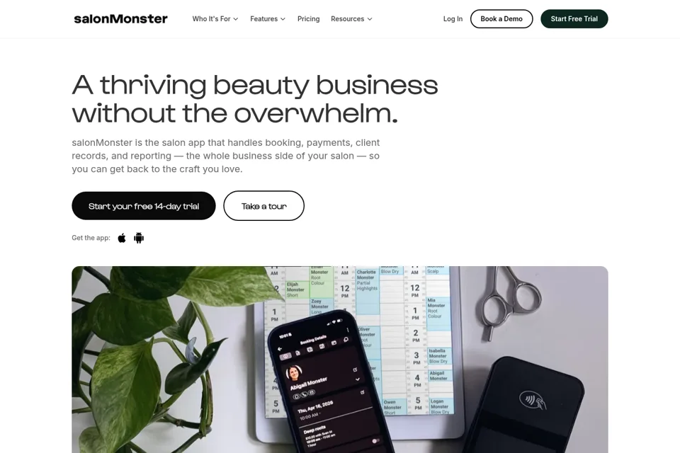 Aperçu de la landing page