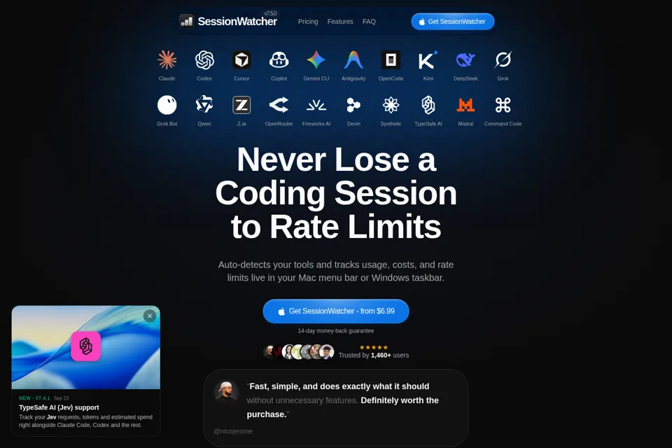 Aperçu de la landing page