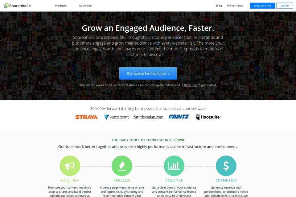 Landing page preview