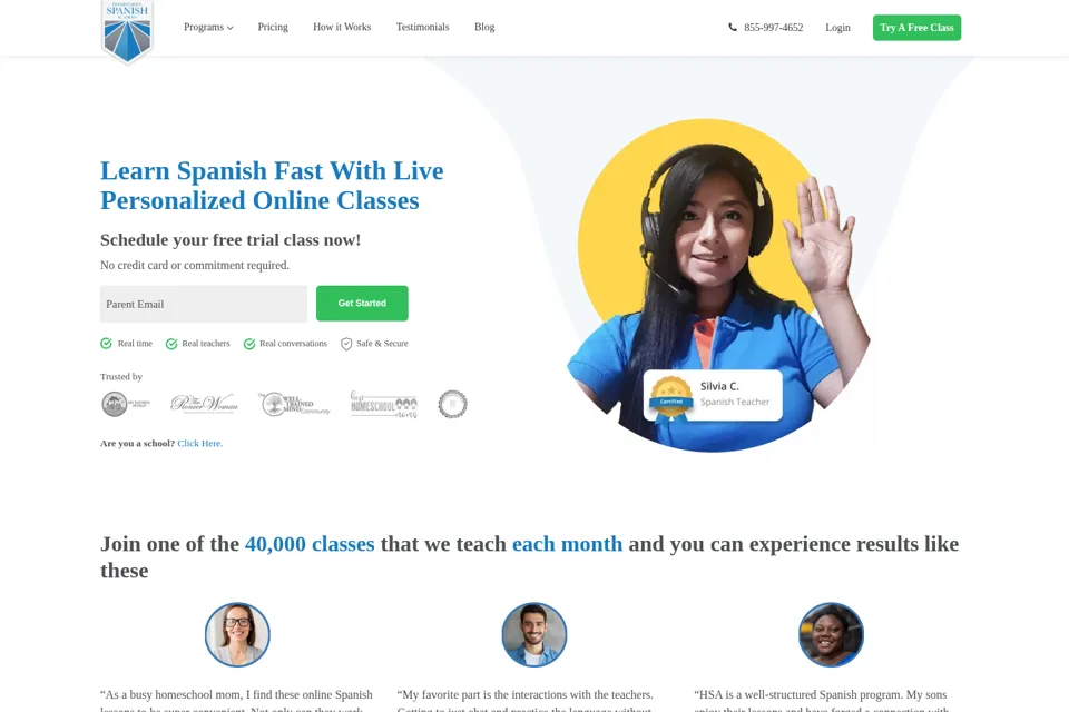 Landing page preview