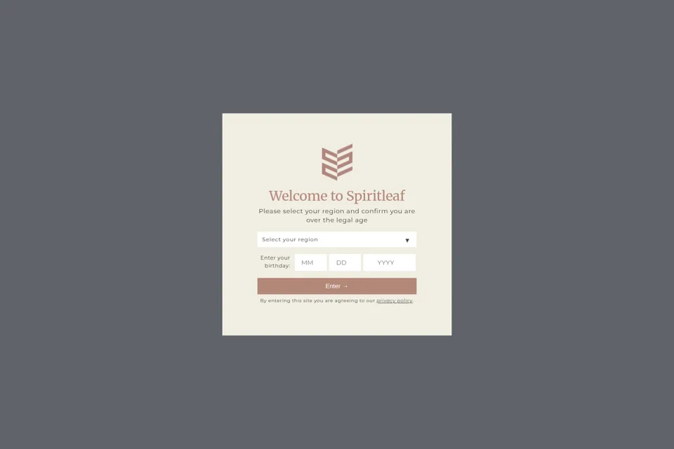 Landing page preview