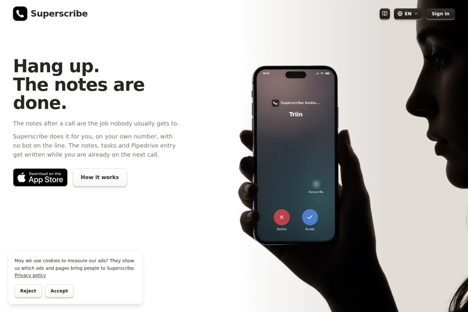 Aperçu de la landing page