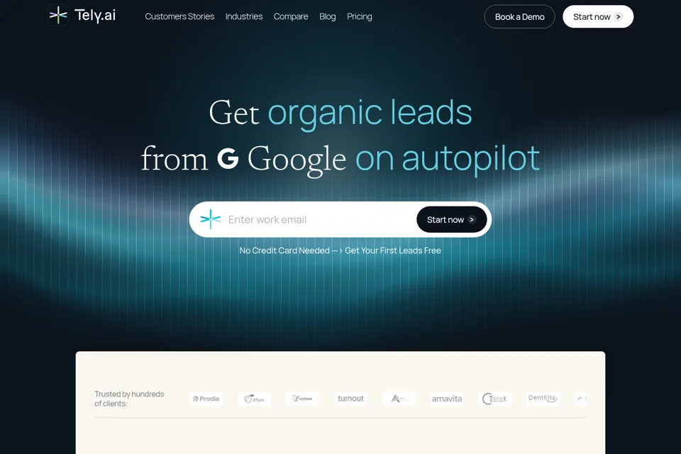 Aperçu de la landing page