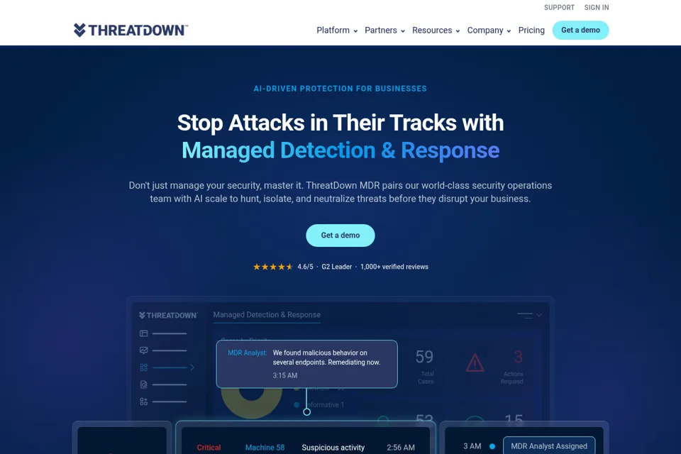 Aperçu de la landing page
