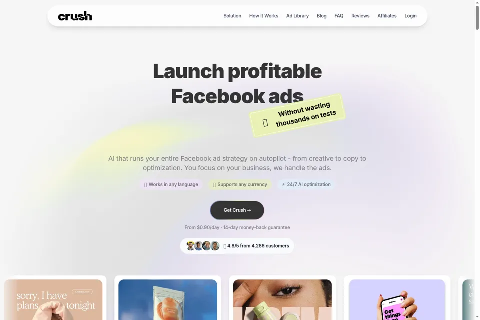Aperçu de la landing page