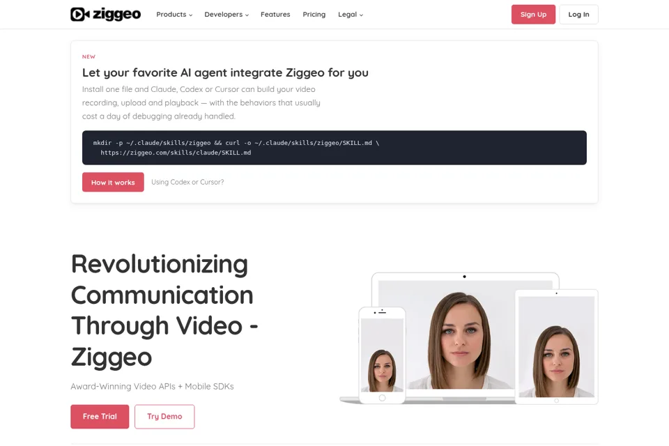 Aperçu de la landing page